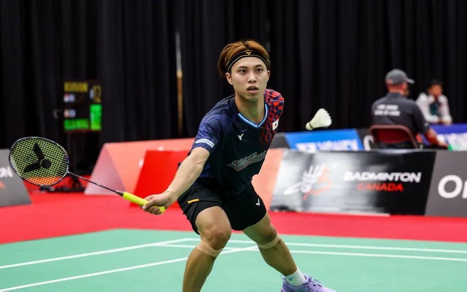 仅代表了个 仅代表了个