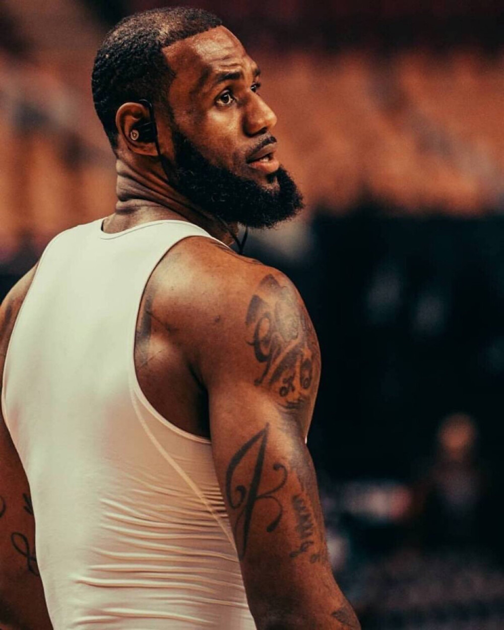 了第三条路 了第三条路